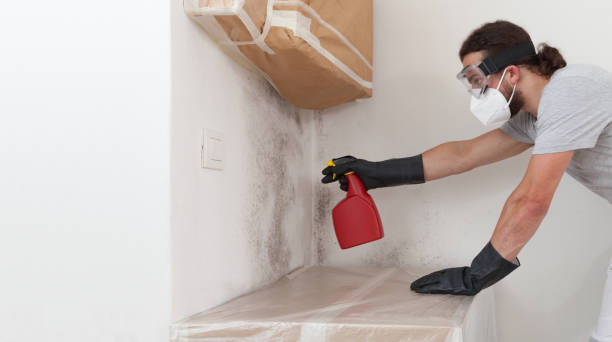 Professional Mold Removal technician working in Morristown, NJ