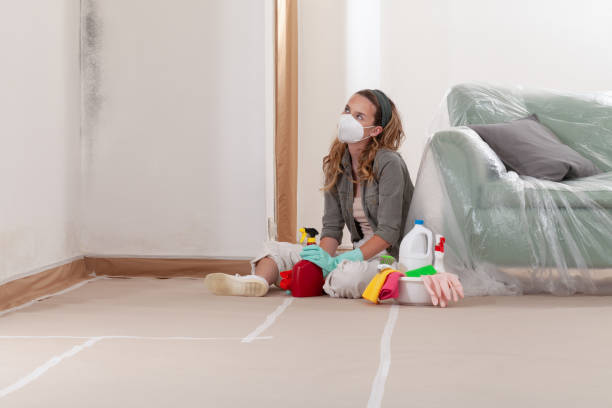Reliable Mold Removal contractor in Morristown, NJ by WQB Mold Removal